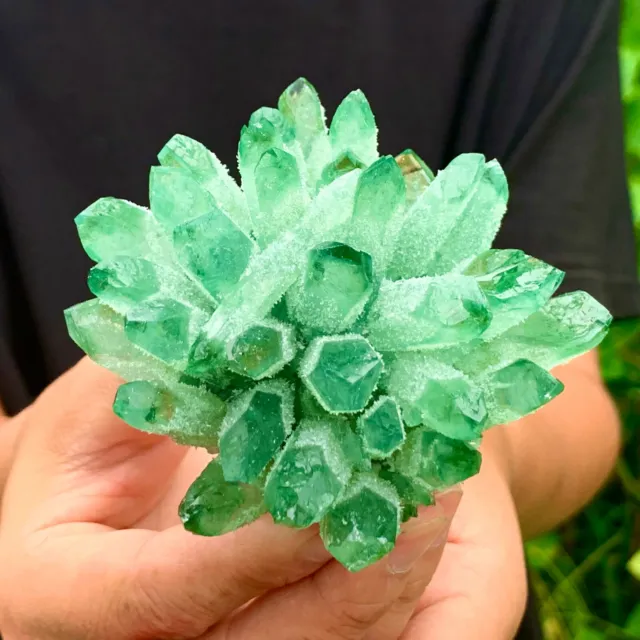 286G  New Find Green Phantom Quartz Crystal Cluster Mineral Specimen Healing 11