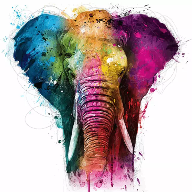 Elephant Colourful Wall Art Printed Canvas Stretched Over A Solid Pine Frame