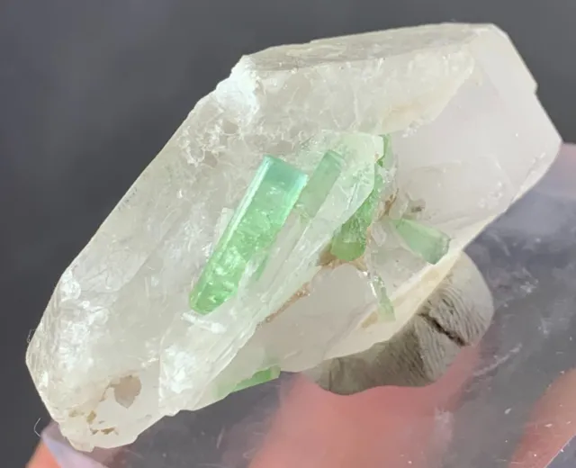 255 CT Cute Green Tourmaline Crystal Bunch With Quartz [Heated] From Afghanistan