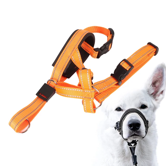 Collare testa cane museruola controllo anteriore regolabile design supporto testa cane museruola per