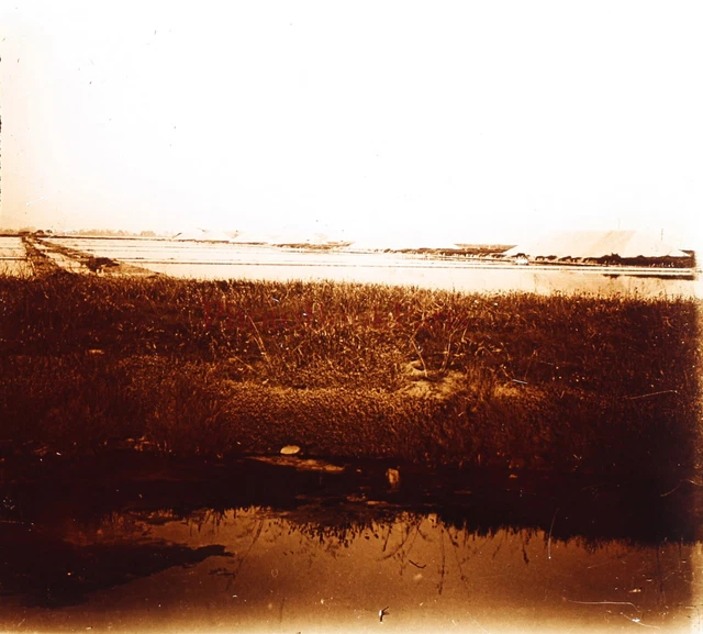 France Sea Landscape Saline c1920 Photo Stereo Glass Plate Vintage V21T3n11