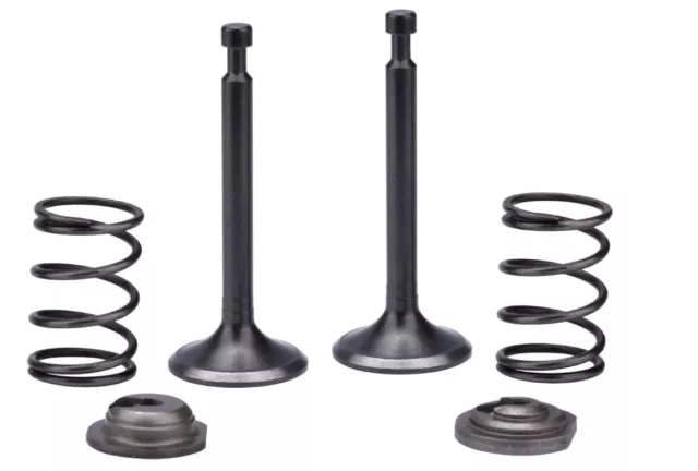 Intake Exhaust Valve Spring For PowerStroke PS906025 PS906025A Generator