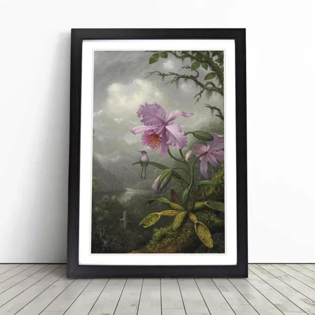 Martin Johnson Heade Hummingbird And Orchid Wall Art Print Framed Canvas Picture