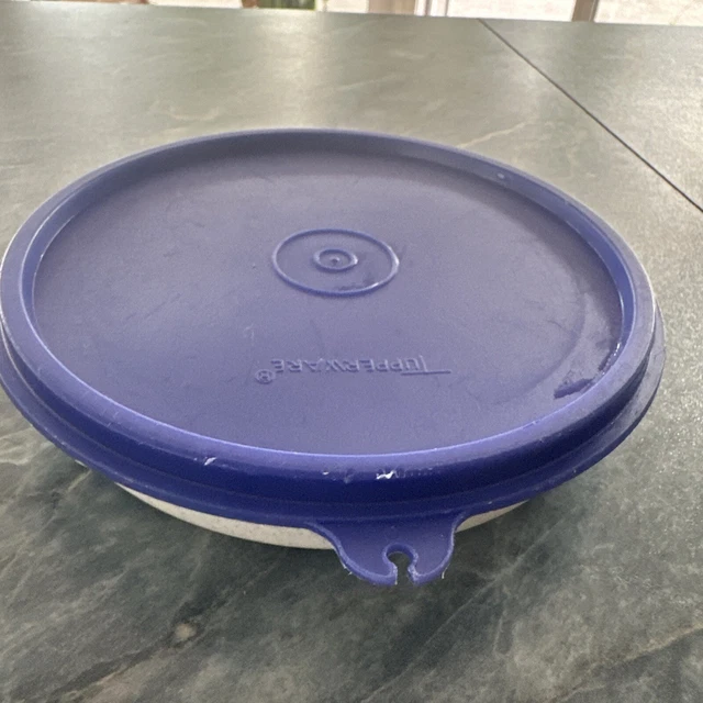 4x TW Hitparade Brotdosen 300ml - Blau & Lila Mit Spruchtier