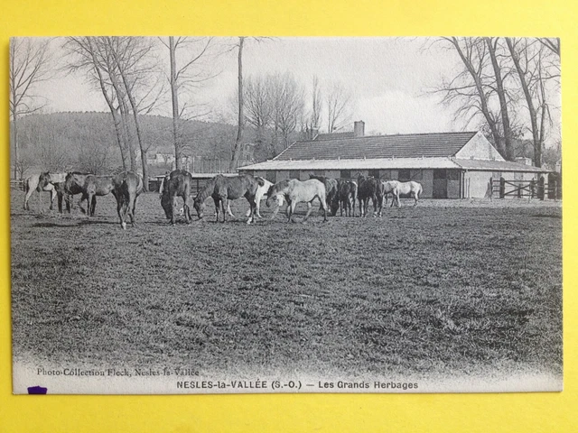 cpa FRANCE 95 - NESLES la VALLEY Les GRANDS HERBAGES Horses Haras Ecurie