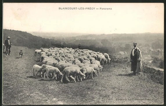 CPA Blaincourt-les-Precy, general view, Schäfer with herd 1913