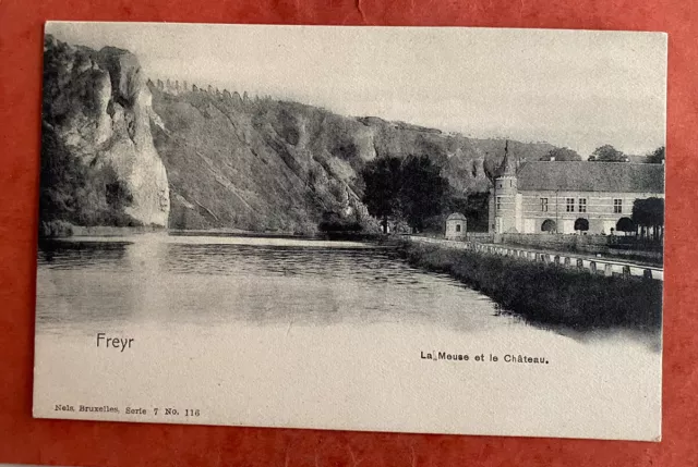 CPA BELGIQUE FREYR - La Meuse et le Château