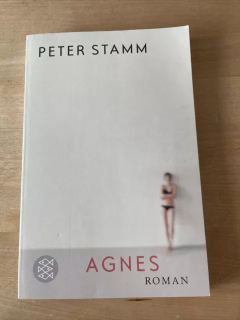 Agnes von Peter Stamm (2009, Taschenbuch)