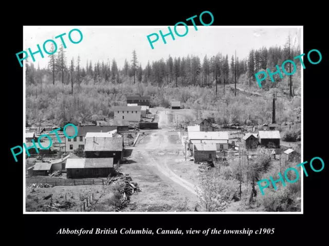 OLD POSTCARD SIZE PHOTO OF ABBOTSFORD BC CANADA VIEW OF THE TOWNSHIP c1905