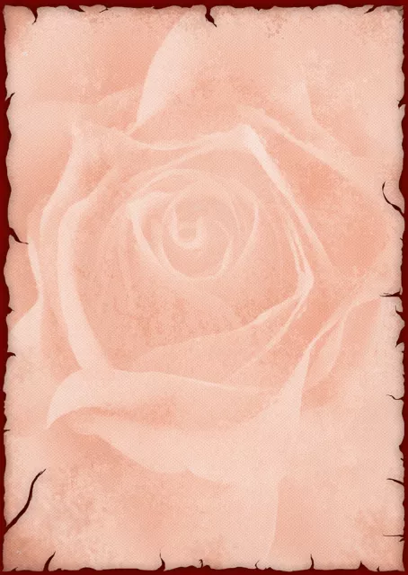 Motivpapier Briefpapier Rose antik beidseitig 20 Blatt A4 Vintage History old 3