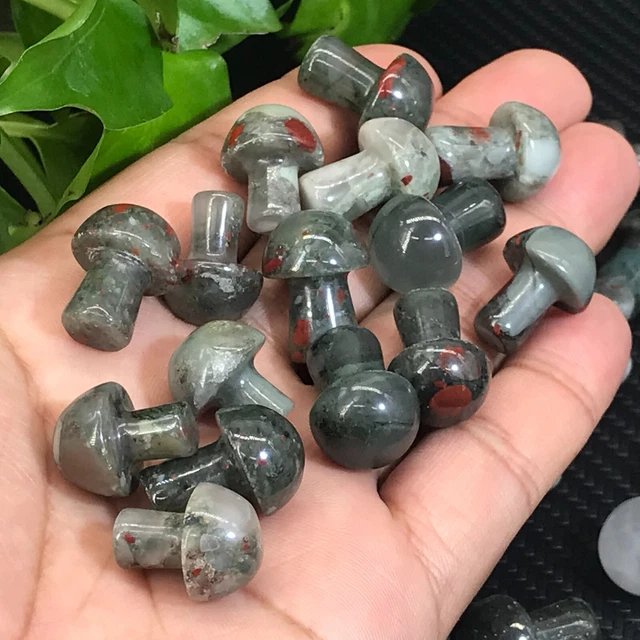 20pcs natural African blood stone Mushroom Quartz Crystal Reiki healing gem