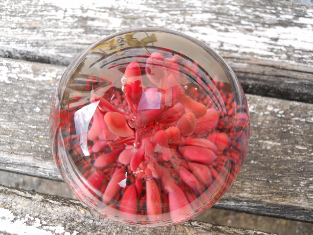 Grosse Boule presse papier sulfure Murano ? décor style corail rouge