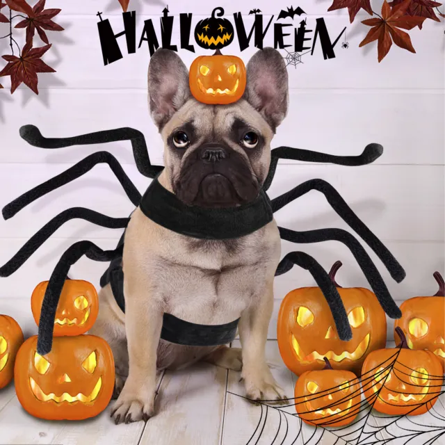 Pet Spider Bat Costume Halloween Costumes for Dog/Cat Wacky Dress up Gift US