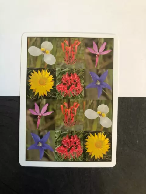 Fuchsia Lantern Glory Star Orchid Scoparia Flowers Blossom Art Swap Playing Card