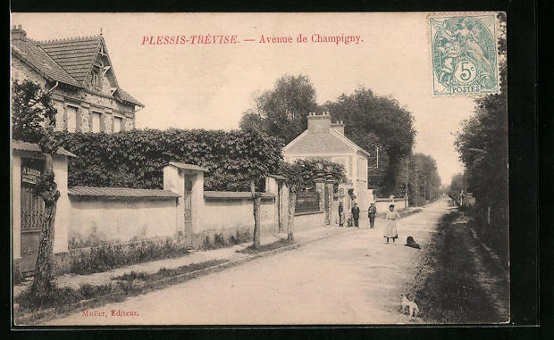 CPA Plessis-Trévise, Avenue de Champigny