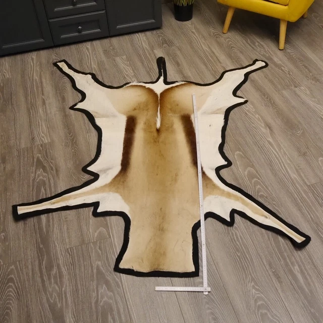 Gigante Gacela África Piel Alfombra Piel de Animal Longitud 161CM 2