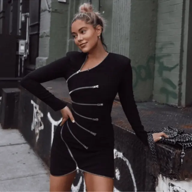 Alexander Wang Long Sleeve Sunburst Zip Dress