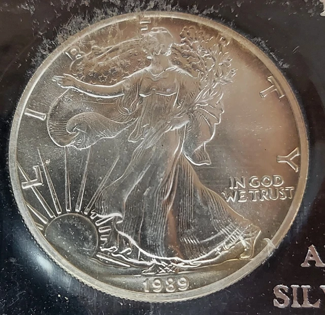 1989 $1 Walking Liberty American Silver Eagle Dollar (ES298)