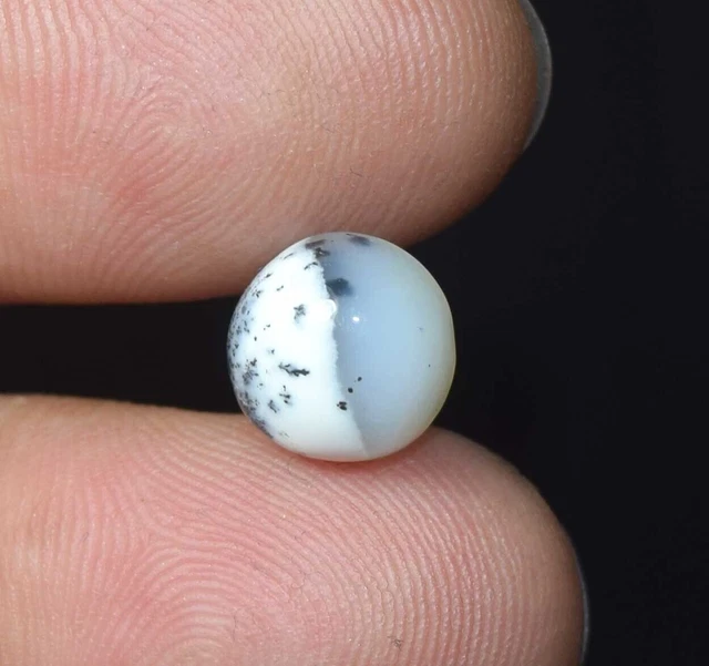 Opale dendrite, opale dendrite naturelle ronde cabochon pierre précieuse en...
