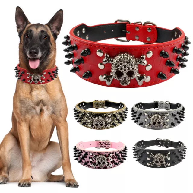 Skull Spiked Studded  Leather Dog Collar 2“ for Medium Large Dogs Pitbull Boxer