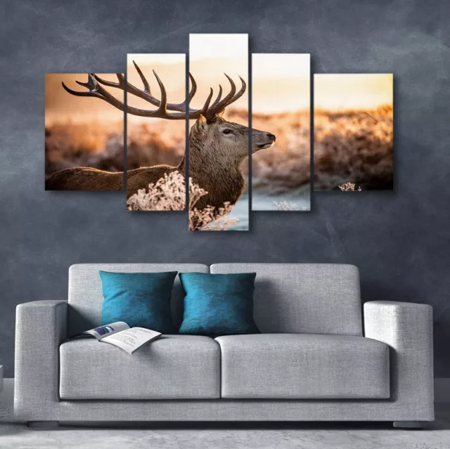 5 piece Wall decor CANVAS PRINT NATURE FOREST wood Wild Animal BIG DEER170x100