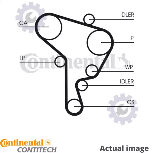 New Water Pump Timing Belt Set For Skoda Vw Seat Fabia I 6Y2 Continental Ctam