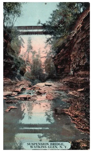 Suspension Bridge,Watkins Glen,Ny.vtg 1917 Postcard*D10