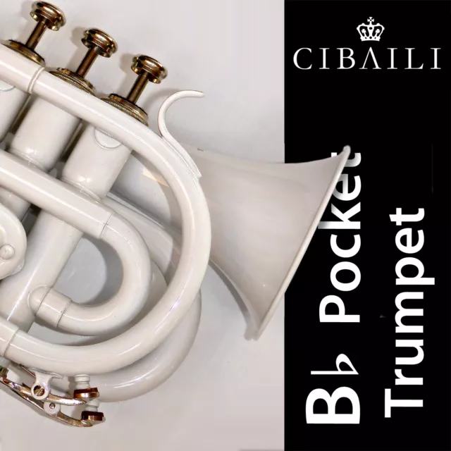 WHITE Bb Pocket Trumpet • CIBAILI Quality • Brand New With Case and Accessories