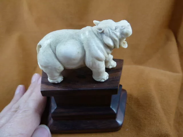 hippo-8) little Hippo of shed ANTLER figurine Bali detailed carving love hippos