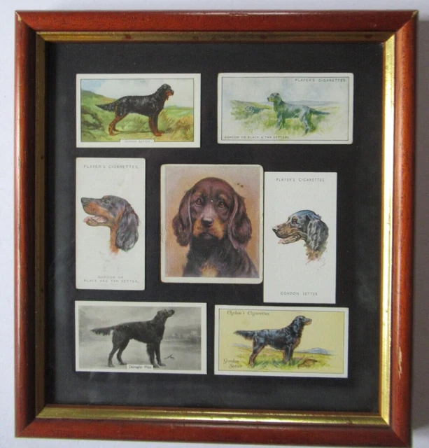 Vintage Gordon Setter Collectable Cards Framed