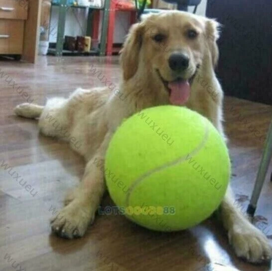 24cm Hund Tennis Ball Hundespielzeug Bälle Hunde Spielzeug für große Haustier  A
