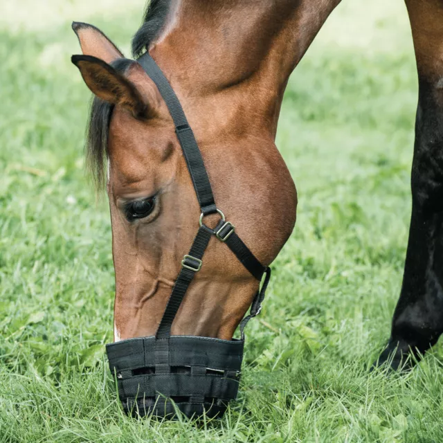 Horse Guard Weidemaulkorb mit Halfter für Pferde Fressbremse Maulkorb 2