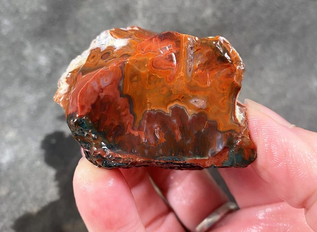 Idaho Sunset Plume Agate Rough!