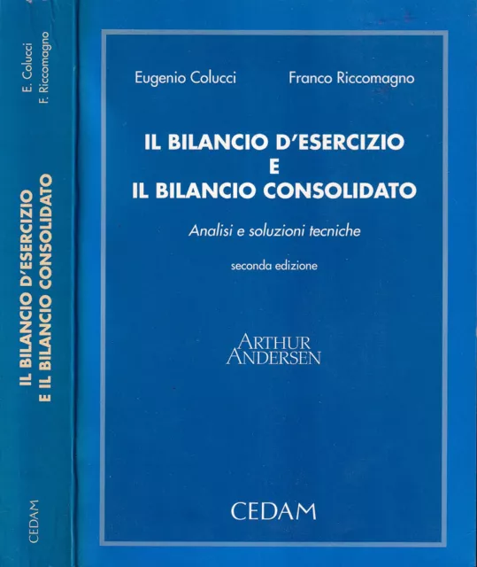 Il bilancio d'esercizio e il bilancio consolidato. Analisi e soluzioni tecniche.