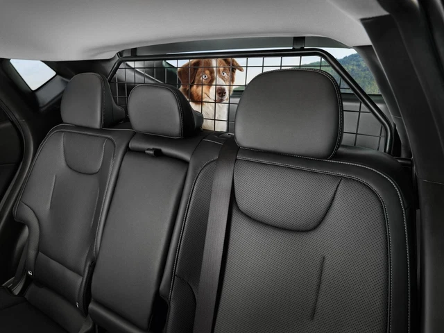 Gaine De Protection Pour Câbles Animaux De Compagnie, Gaine Tressée à Fermeture Automatique, 3 M X 12,7 Mm, Gestion Des Câbles, Protège Contre La Mastication Par Les Chiens