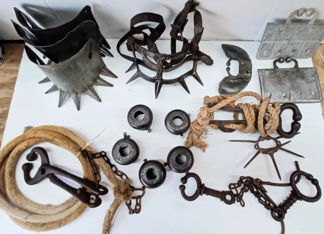 Vintage 16 pcs Western Collection Cow Calf Weening Bull Horn Weights Bull Lead