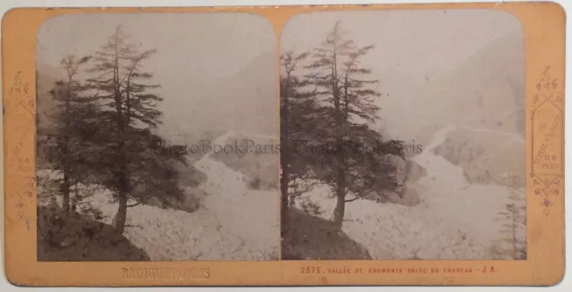 Vallée de Chamonix Photo J. Andrieu Radiguet Paris Stereo Vintage Albumine