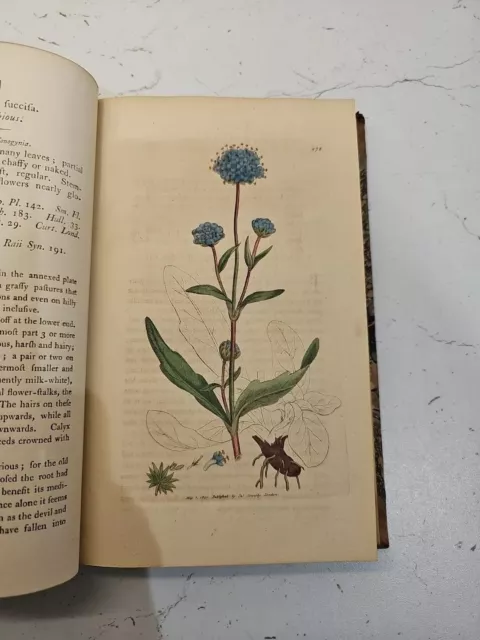 English Botany. James Sowerby. 1801. 71 Hand Coloured Plates. Vol 13. 1st Edit