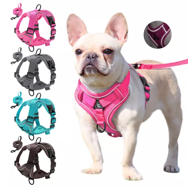 Small Dog Harness and Leash Set Soft Mesh Padded Puppy Pet Cat Reflective Vest