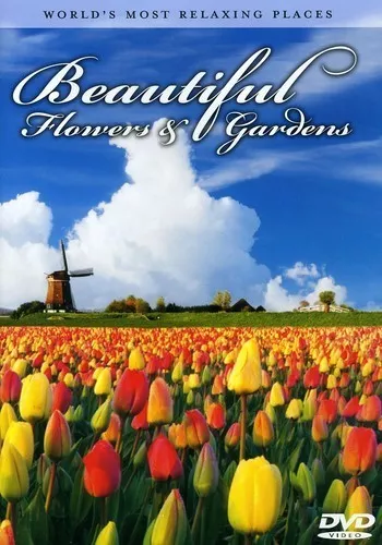 Worlds Most Relaxing Places: Beautiful F DVD