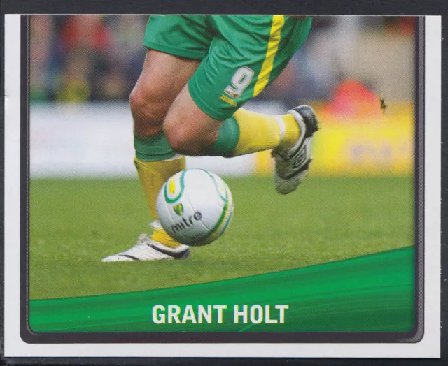 Panini Football 2011 Championship Sticker- No 243 - Norwich City - Grant Holt