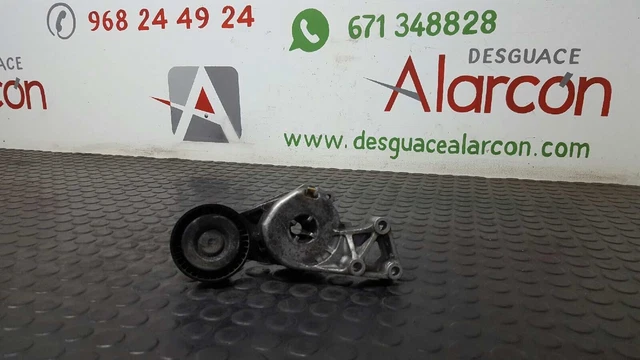 292653 Tendeur De Courroie Auxiliaire Pour Volkswagen Golf Vi (5K1) | 06A903315F