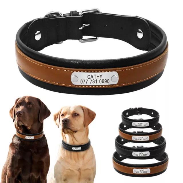 Leather Personalized Dog Collar Soft Padded for Medium Large Dogs Rottweiler XL