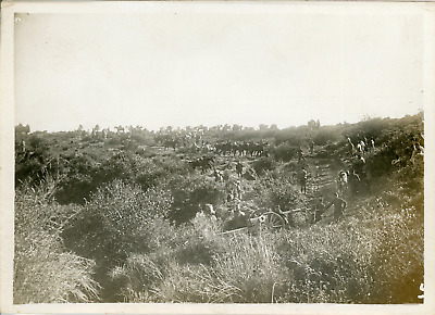 Conflict in morocco, artillery position in the vicinity of Fez, 1911, vintage silv