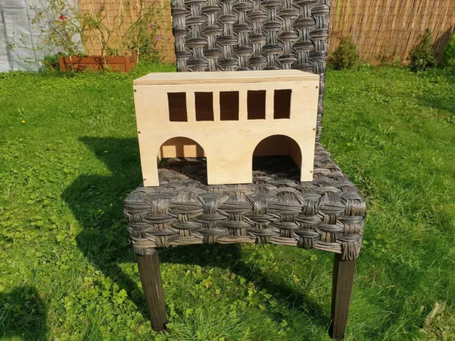 Cochon d'Inde Prison House Halloween jouer Shelter Hide Out Castle