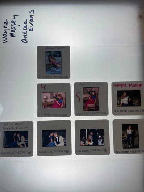 Dw4-822 Pamela Sue Martia Lot (14) 35Mm Orig Slide Via Dianna Whitley