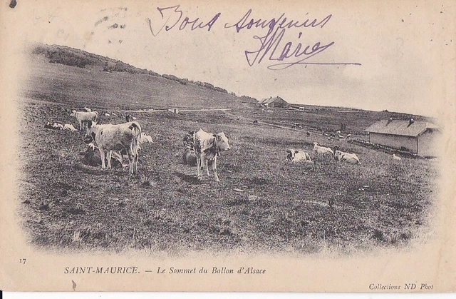 CPA 88 VOSGES près Bussang SAINT-MAURICE Le Sommet du BALLON D' ALSACE 1904