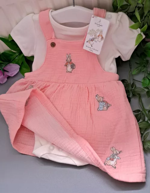 Baby Girl 3-6 Months BNWT Nutmeg Peter Rabbit Supersoft Waffle Dress Set