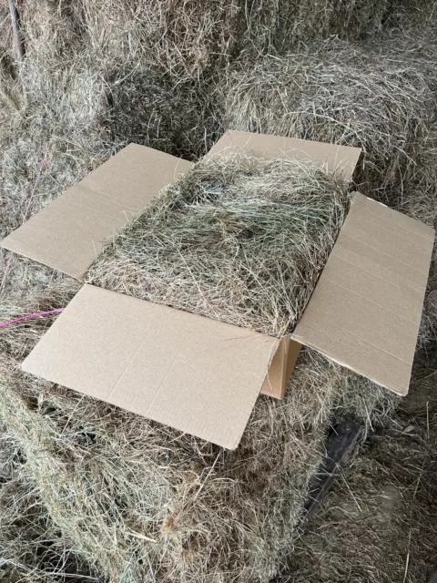 1.75kg Somerset Meadow Hay Rabbit and Guinea Pig Pet