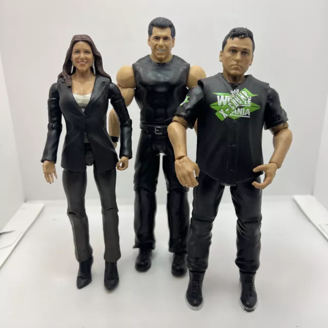 Wwe Mattel Vince McMahon Whole Family Shane & Stephanie McMahon Family Triple (2